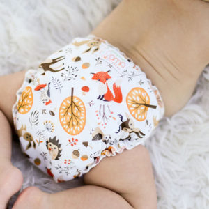 Cloth Diapers & Accessories