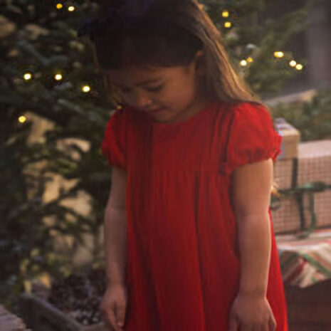 velvet Christmas dress